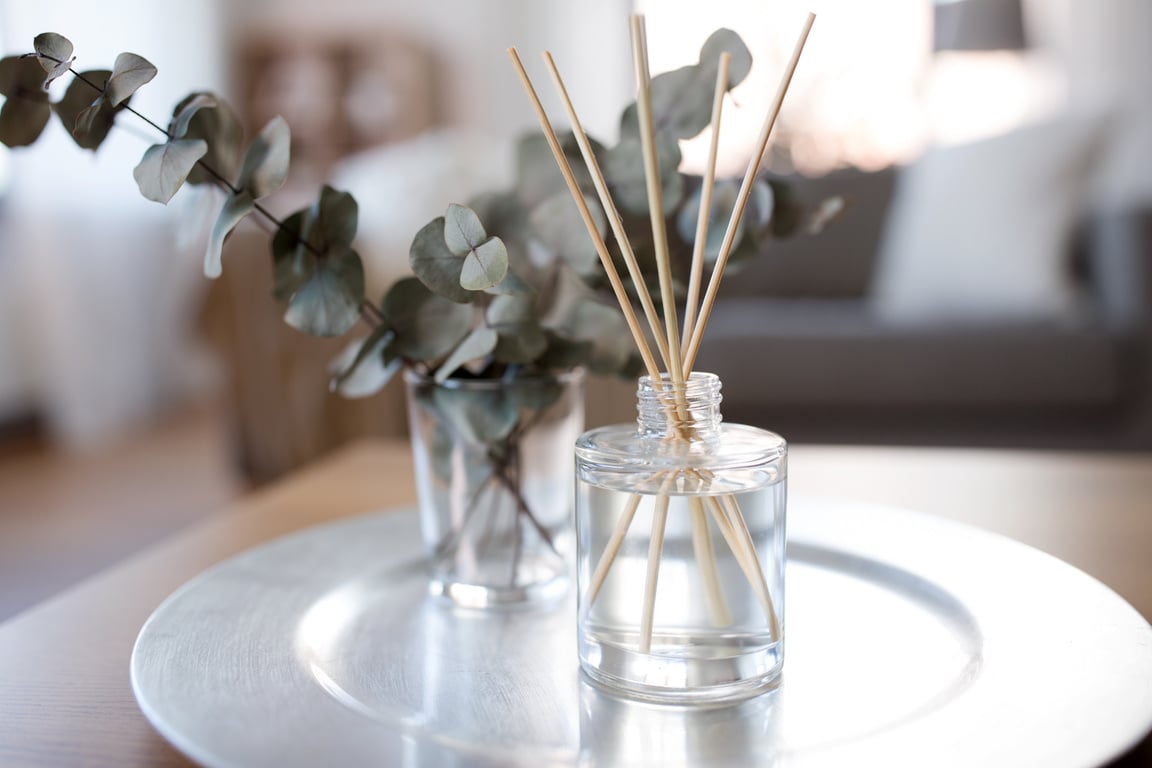 Aroma Reed Diffuser and Branches of Eucalyptus
